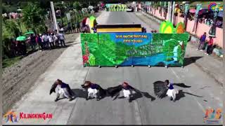 KILINGKINGAN FESTIVAL 2024  CONTINGENT 5 [upl. by Anerec633]