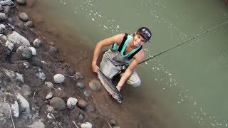 How to Catch Salmon From Shore  How to Salmon fish  Salmon fishing On Sandy River fishing [upl. by Handel]