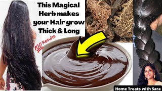 Magical Hair Growth Pack  How to Grow Long and Thick Hair Naturally amp Faster  Herbal Hair pack🌿 [upl. by Sanderson916]