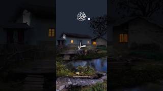 sale alaa nabi e na ﷺ islamicvideo youtubeshorts islamicstatus ytshorts shorts darood [upl. by Oliric]