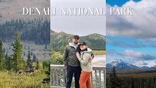 NATIONAL PARK VLOG DENALI  tundra bus tour seeing mt denali and more [upl. by Tsui]