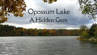 Opossum Lake  A Hidden Gem [upl. by Luanne170]