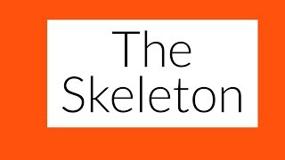 The Skeleton Part 4 SUMMARY of Chapter Leaving Cert Biology [upl. by Anerres]