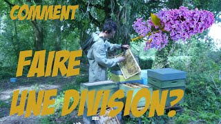 Comment faire une division pour prévenir lessaimage des abeilles [upl. by Richey116]