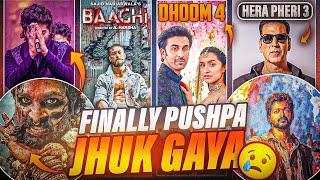 FINALLY Pushpa Jhuk Gaya 🙏 Baaghi 4 Announcement Hera Pheri 3 Confirmed Dhoom 4 News askladder 1 [upl. by Loree]