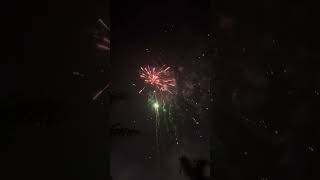 Dog Race amp Howling wolf firework fireworks fireworksmania 4thofjuly explosion [upl. by Patrich749]