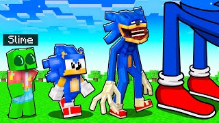 Evolving as SONIC in Minecraft [upl. by Carly]