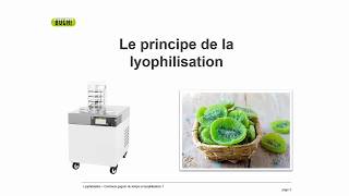 Lyophilisation  comment gagner du temps [upl. by Hwu]