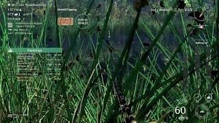 Fishing Planet  Friday Short Stream [upl. by Arva]