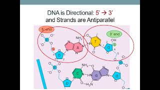 Microbial Genetics [upl. by Bullivant]