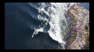 Rising Tides Skookumchuck by Drone Sea Kayak Surfing [upl. by Stephanie504]