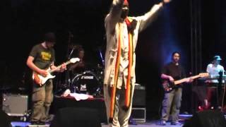 Everton Blender amp House of Riddim  Concert Mix  24062007  Jamaican Reggae Festival [upl. by Oesile]