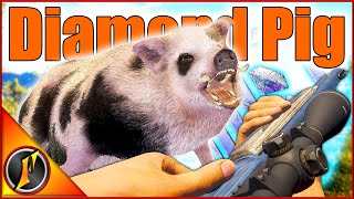 HUGE Diamond Black Spots Feral Pig on Australia  Emerald Coast Multiplayer [upl. by Eadwine]