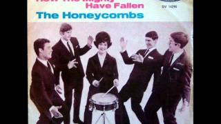 THE HONEYCOMBS UK COLOR SLIDE US Interphon 7716 1965 [upl. by Danzig]