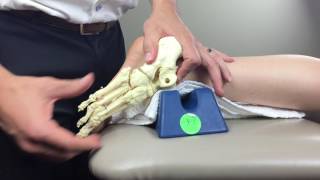 Mid Foot midtarsal Manual Therapy [upl. by Garvin919]