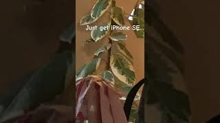 iPhone SE is better phone fypシ゚viral justgivemeareasonp idontwanttotalkaboutit [upl. by Olsen]