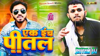 ek inch pital dj  1 inch pital song dj remix  ankit pathak [upl. by Alicirp]