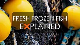 Fresh Frozen Fish  EXPLAINED [upl. by Jecho365]