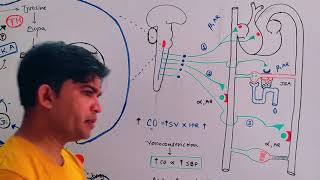 How Clonidine Arkamine reduce BP   Mechanism of Action  Dr Manhar  Basics of Medicine [upl. by Ermentrude]