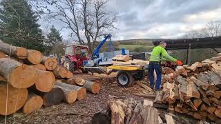 Binderberger Gigant mit IHC 323 Brennholz spalten [upl. by Gracye964]