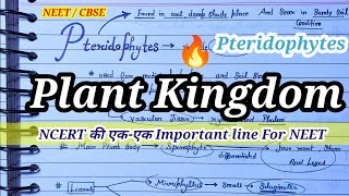 Pteridophytes Class 11th  Plant Kingdom  Class 11th NCERT Biology 🔥💯 [upl. by Seerdi]