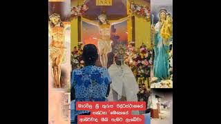 Marawila Kurusa Palliya Blessing marawila kurusapalliya shantovlogs jesus love 1millionviews [upl. by Yci]