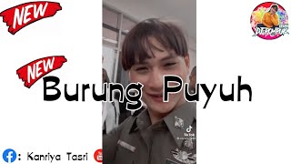 เพลงแดนซ์  Burung Puyuh Burung Ketut Di Makan Biawak  เบสแน่น DJPOMPUKREMIX [upl. by Tess347]