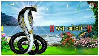 🔴 ગોગા મહારાજ નો હવન DT 7 11 2024🔴 [upl. by Loyce]