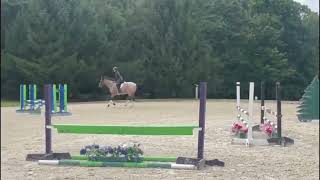 Coolsprings Mr Darcy jump 831 [upl. by Pleione169]