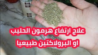 علاج ارتفاع هرمون الحليب او هرمون البرولاكتين بالاعشاب ✅ و تنشيف الثدي من الحليب [upl. by Avrenim]