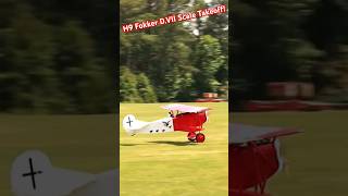 Fokker DVII Takeoff at SEFF 2024 new aviation rc [upl. by Ungley]