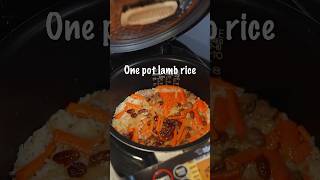 Rice cooker One pot Lamb rice from Xingjiang China [upl. by Kaufman127]