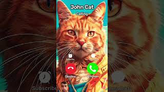 cat call you video shortsvideo [upl. by Ayrb925]