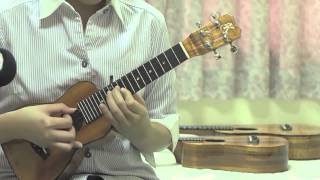 Ukulele Size Comparison  Hallelujah Jake Shimabukuro Version [upl. by Eceerehs771]