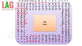 80486 Pin Diagram हिन्दी [upl. by Airdnek]