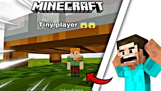 Minecraft 121 tiny player 😱😱 command in java version [upl. by Glennis]