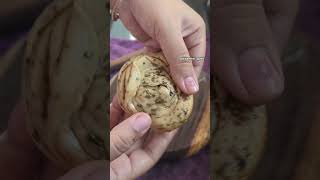 Chatpata Kasuri Methi Laccha Paratha viralshortparathatrendingreciperecipebreakfastlacchayum [upl. by Oneg658]