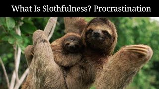 What Is Slothfulness Modern Day Procrastination [upl. by Arissa]