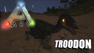 Taming A Troodon  Ark Survival Evolved  The Island [upl. by Ylhsa1]