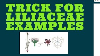 LILIACEAE EXAMPLES TRICK [upl. by Kurth]