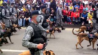 desfile 20 de julio 2017  Bogotá 🇨🇴 parte 3 [upl. by Solis176]