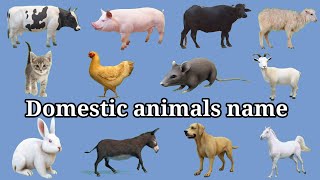 Domestic animals name  learn domestic animals name english and nepali  घर पालुवा जनावर को नाम हरू [upl. by Studley]