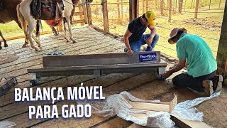 BALANÇA MÓVEL PARA QUALQUER FAZENDA HOJE TESTEI A NOVA BALANÇA ELETRONICA DA TRU TEST [upl. by Shani62]