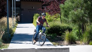 Electra Townie Bicycle 7D Review Is It Worth The Money 2024 [upl. by Dympha]