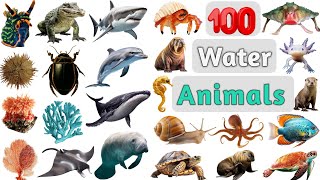 Water Animals Vocabulary ll 100 Common Water Animals Name in English With Pictures ll Sea Animals [upl. by Nibuz397]