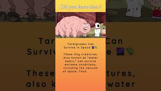 Did you know that Tardigrades Can Survive in Space 🌌🦠tardigrade shorts trivia [upl. by Inihor76]