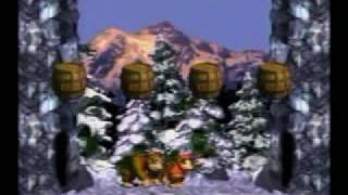 Wait for it NAVGTR Donkey Kong Country Review [upl. by Erdnaek544]