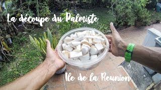 La découpe du Palmiste  Ile de la Reunion [upl. by Terrance]