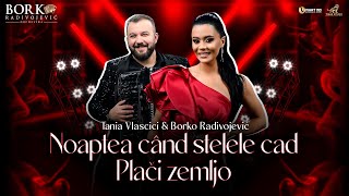 TANIA VLASCICI feat BORKO RADIVOJEVIĆ ORCHESTRA  NOAPTEA CÂND STELELE CAD  PLAČI ZEMLJO [upl. by Siuoleoj]