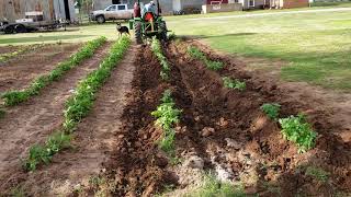 Hilling Potatoes with 3032e John Deere Tractor [upl. by Karlee462]